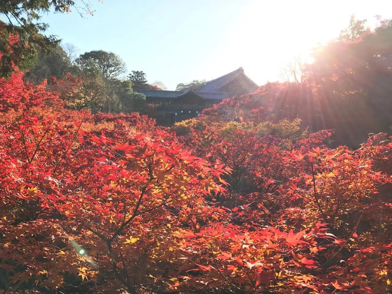 Nagomian Hachijotei 和庵 Villa Kyoto 0*,  Japan
